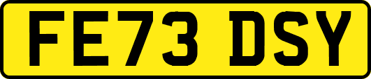 FE73DSY