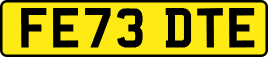 FE73DTE