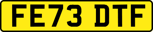 FE73DTF