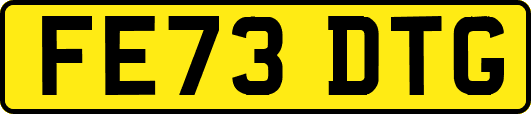 FE73DTG