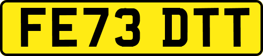 FE73DTT