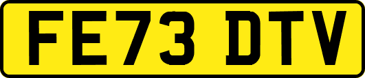 FE73DTV