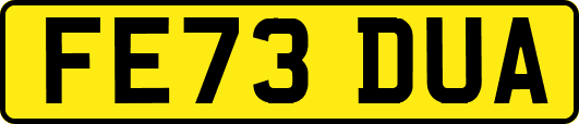 FE73DUA