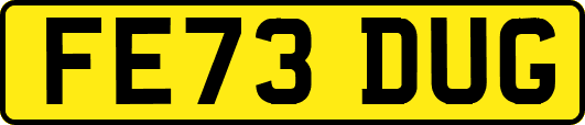 FE73DUG