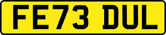 FE73DUL