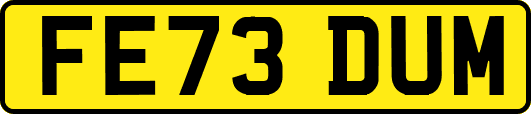 FE73DUM