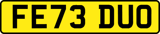 FE73DUO
