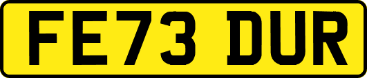 FE73DUR