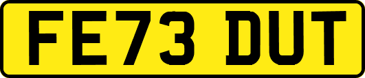 FE73DUT
