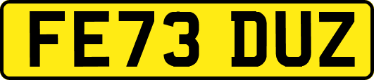 FE73DUZ