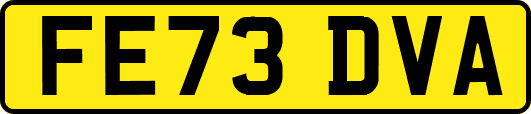 FE73DVA
