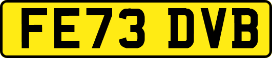 FE73DVB