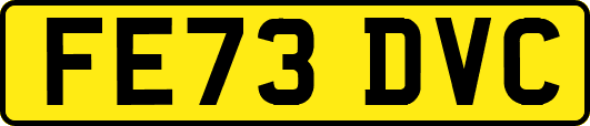 FE73DVC