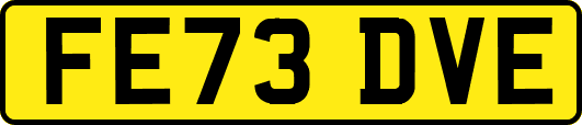 FE73DVE