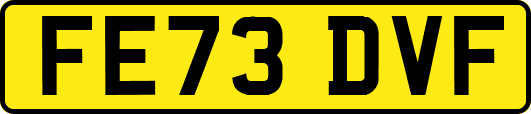 FE73DVF