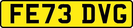 FE73DVG