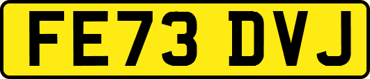 FE73DVJ
