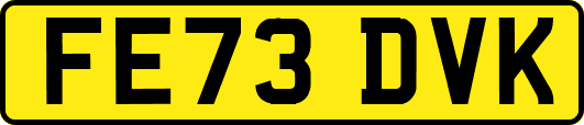 FE73DVK