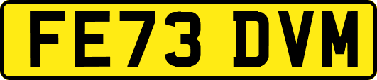 FE73DVM