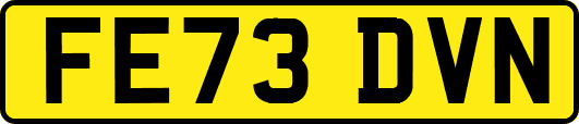 FE73DVN