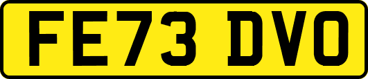 FE73DVO