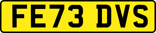 FE73DVS