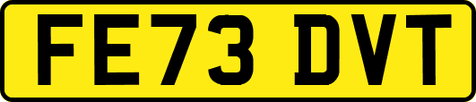FE73DVT