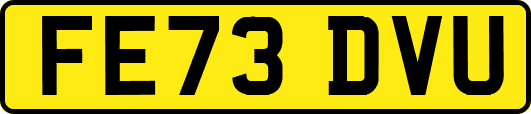 FE73DVU