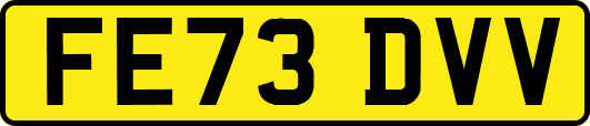FE73DVV