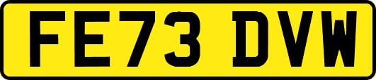 FE73DVW