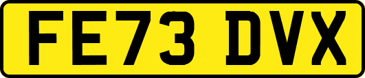 FE73DVX
