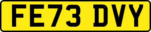 FE73DVY