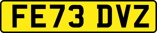FE73DVZ