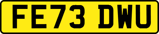 FE73DWU