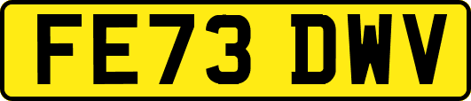 FE73DWV