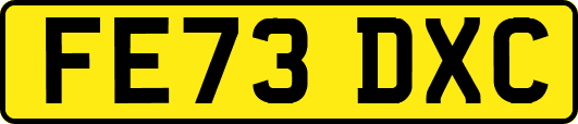 FE73DXC