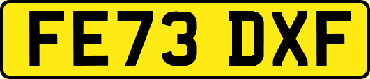 FE73DXF