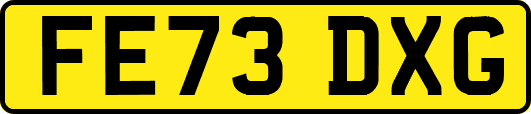 FE73DXG