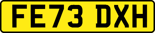 FE73DXH
