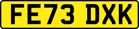FE73DXK