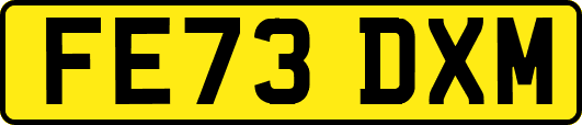 FE73DXM