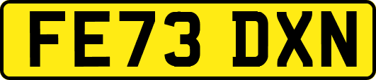 FE73DXN