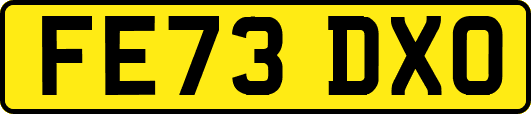 FE73DXO