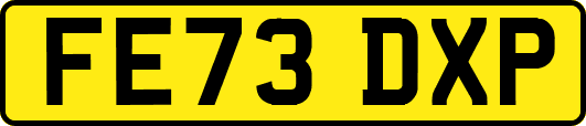 FE73DXP