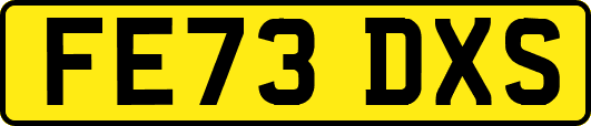FE73DXS