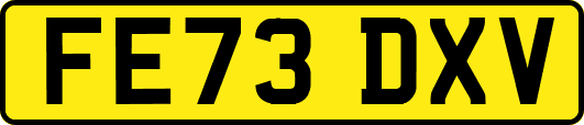 FE73DXV