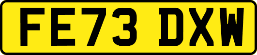 FE73DXW