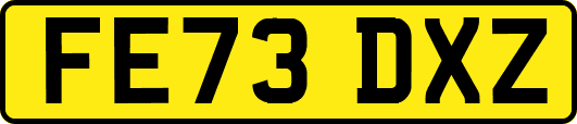 FE73DXZ