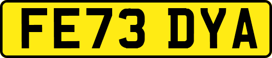 FE73DYA