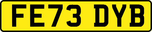 FE73DYB